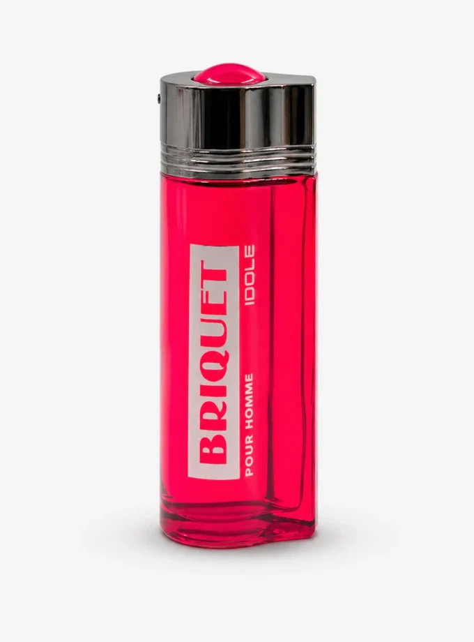 Briquet Idole Pour Homme Eau de Parfum 100ml