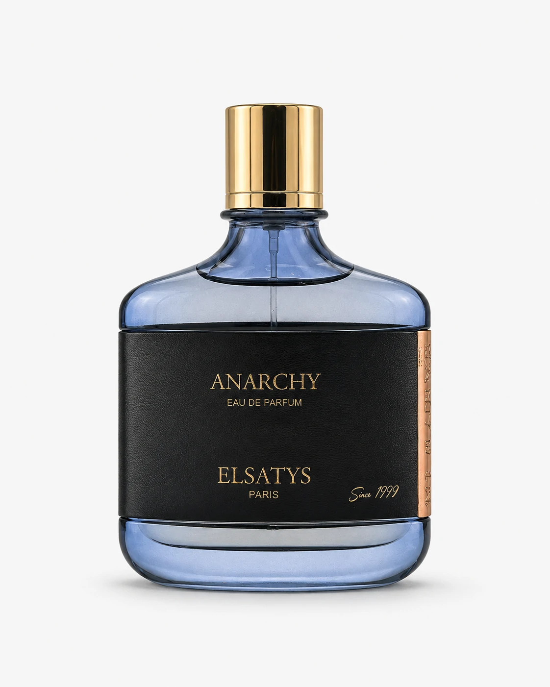 Elsatys Anarchy Eau de Parfum 100ml